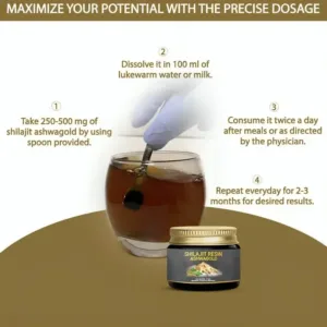 Shilajit 01